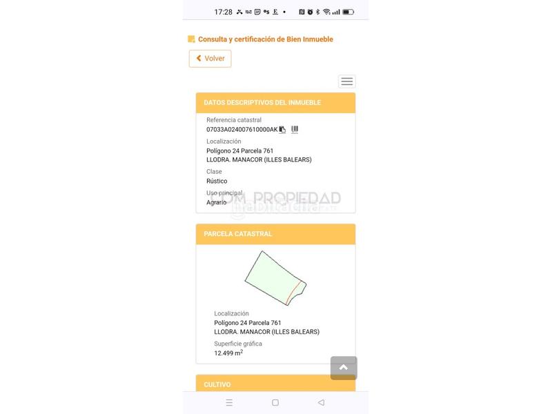 Foto 82cdf36c-ead8-458e-a456-83eae21aff56. Fondo rustico in Manacor centre Manacor