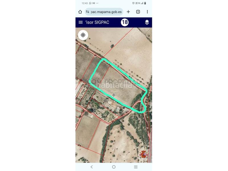 Foto cd8b1f15-0c2b-4d45-ba4a-8b4fbf1006bc. Fondo rustico in Manacor centre Manacor