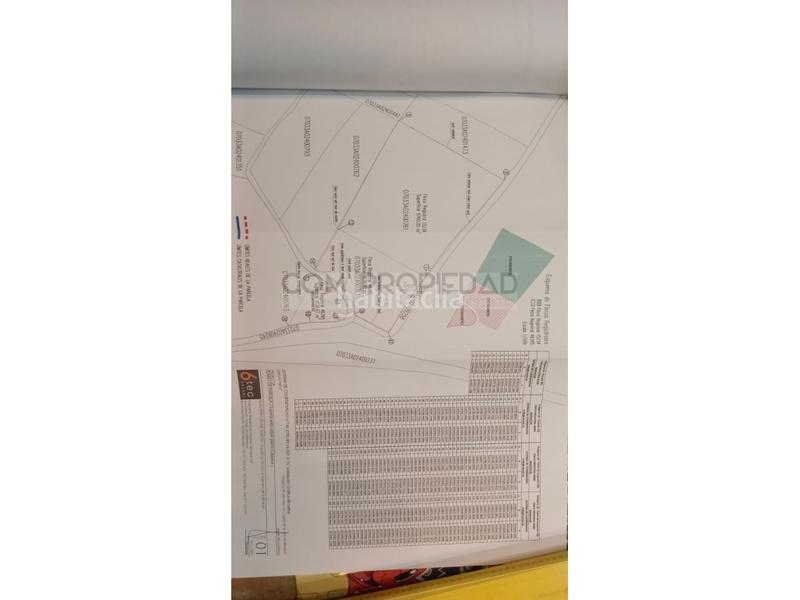 Foto e8ee44d2-7a2a-4d97-a8c4-8c679a2d66fe. Fondo rustico in Manacor centre Manacor