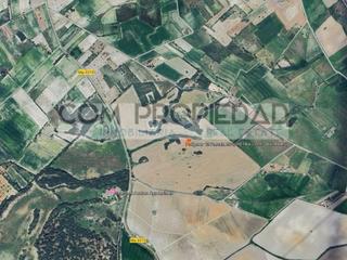 Casa  N/a. Finca rústica con 244.280 m2 en petra