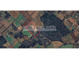Terreno residencial en Llucmajor Interior. Terreno con 56.989 m2 con licencia en trámite final llucmajor