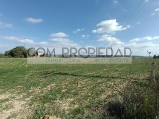 House in Petra. Finca rústica con 244.280 m2 en petra