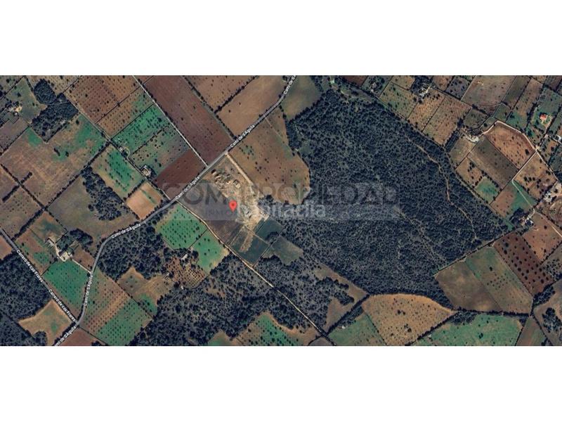 Foto 40382177-9f0b-482f-acfa-8305cf229b4b. Terreny residencial a Llucmajor interior Llucmajor