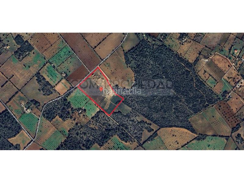 Foto 5ef18a04-b85d-4910-8585-c93453429d5b. Terreny residencial a Llucmajor interior Llucmajor