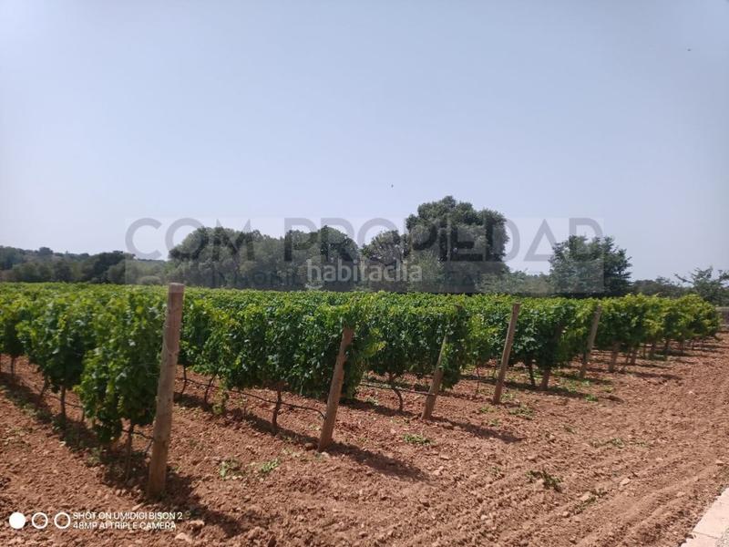 Foto 0a41dba6-1894-401d-8a25-99e7a3fdb73a. Casa a Costitx