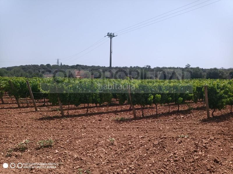 Foto 13f7a13a-236a-457c-9b27-2c6352b4b108. Casa a Costitx