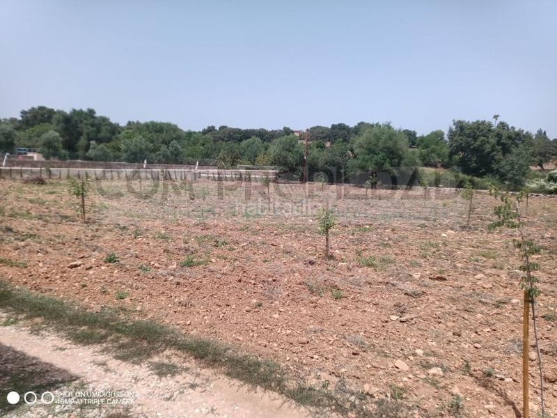 Foto 9b0bd9bf-8c84-4789-82bf-812673775eb5. Casa a Costitx