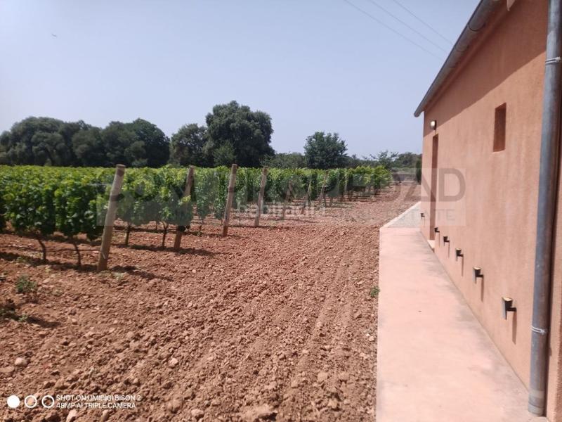 Foto f6baf403-ee25-47af-95dc-78a2a554c82d. Casa a Costitx