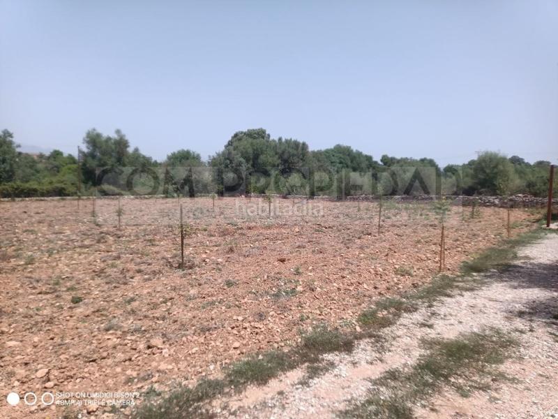 Foto fb3a28c4-b33b-4c53-a39f-8790c7422a15. Casa a Costitx