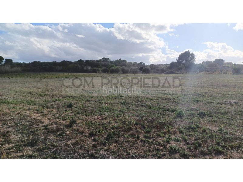 Foto 28e66b91-b696-4633-8179-46203beda253. Finca rústica a Manacor centre Manacor