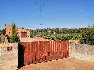 Haus in Costitx. Bodega con producción propia en finca rústica de 13.599 m en cos