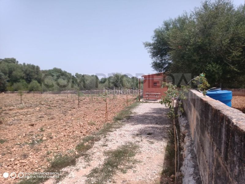 Foto 1414a223-03ff-4a02-b7a8-be227e8f3f46. Casa a Costitx
