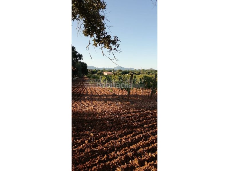 Foto 21d0db61-f574-4b84-91c1-604ebd25e615. Casa a Costitx