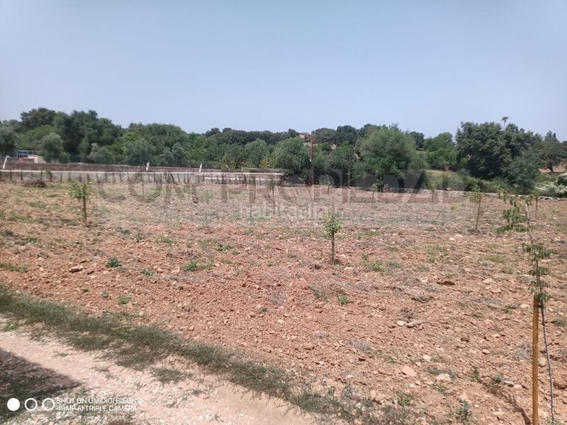 Foto 7d7fa044-7bcf-4cb4-9395-21615918caa4. Casa a Costitx