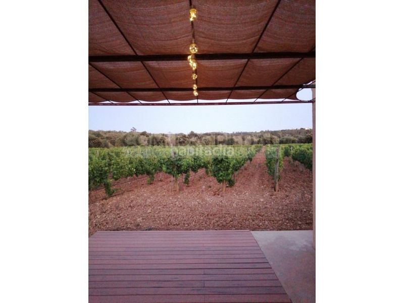 Foto c97d7514-a3fa-4728-9a5d-70ff80dd5055. Casa a Costitx