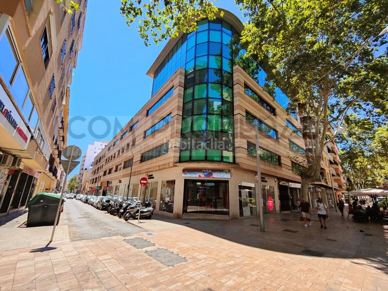 Foto 816d2b40-8049-43da-8e96-3f14824805d0. Pis a Pere Garau Palma de Mallorca