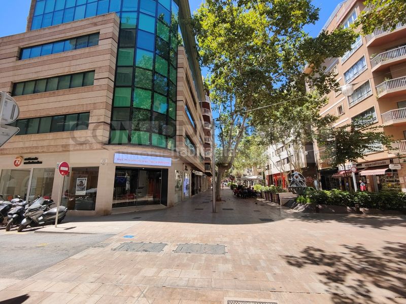 Foto b1633bb1-52dd-465c-8384-3f4f2e764f08. Pis a Pere Garau Palma de Mallorca