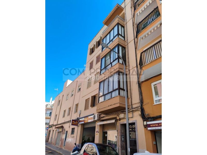 Foto 842d7b18-e9c7-436c-b880-7eb4c2e161c4. Pis a Son Cotoner Palma de Mallorca