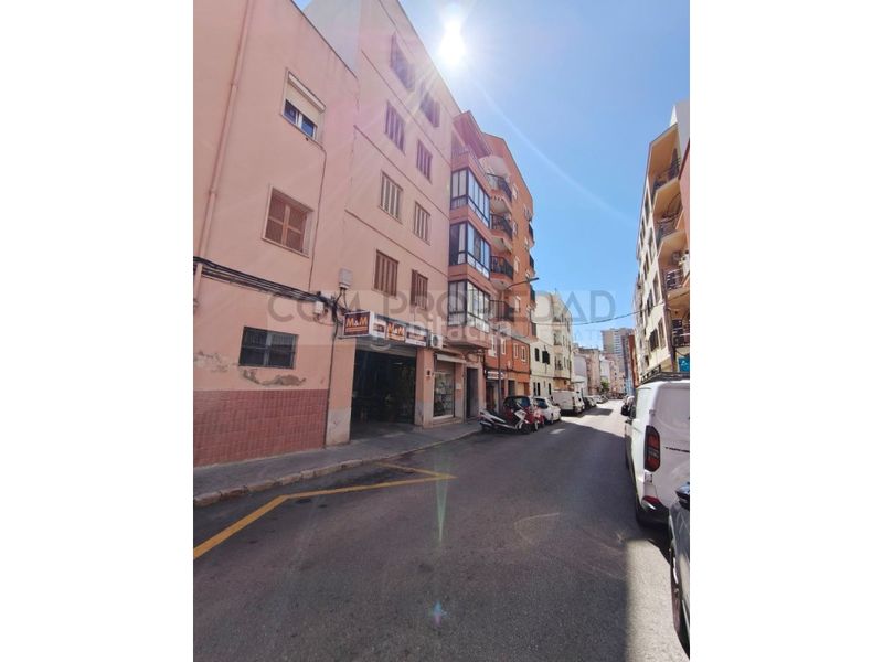 Foto bd42a82b-1f3d-47f2-967e-d2647258408a. Pis a Son Cotoner Palma de Mallorca