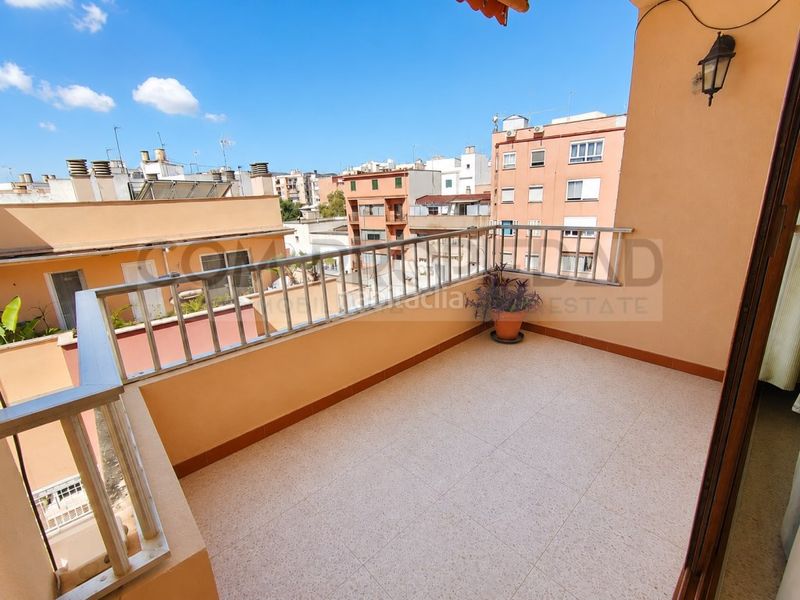Foto e99a513a-edbe-4b62-a0bb-cf3ec3977b95. Pis a Son Cotoner Palma de Mallorca
