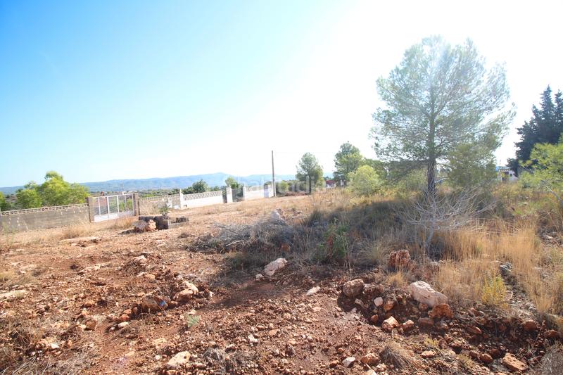 Foto 819f0ab7-53ab-46ca-a5ca-667d457c9c2f. Wohngrundstück in Catadau