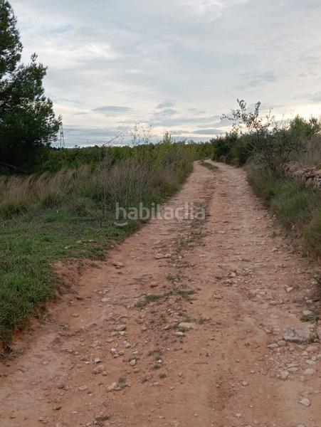 Foto 0e03cc19-44cd-4750-a3e7-5aff6a920477. Landgut in Llombai