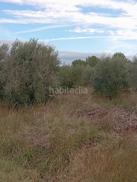 Foto 2ab06630-c7a9-48f9-9f50-ad3e5eb9ed49. Landgut in Llombai