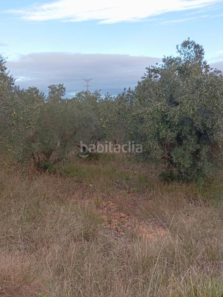 Foto 67fa6f9d-1be1-4eb3-a038-7964ee536ec3. Landgut in Llombai