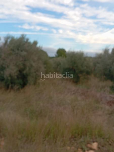 Foto 883e41ed-189e-475f-8622-88f36c49bdda. Landgut in Llombai