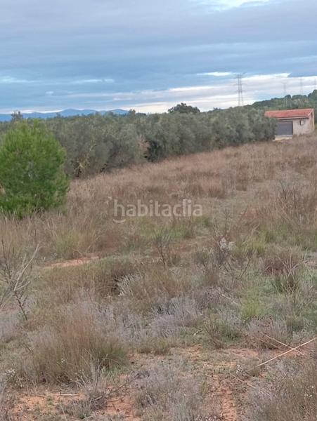 Foto ae43454f-5871-45a1-825e-b28a0abd0068. Landgut in Llombai