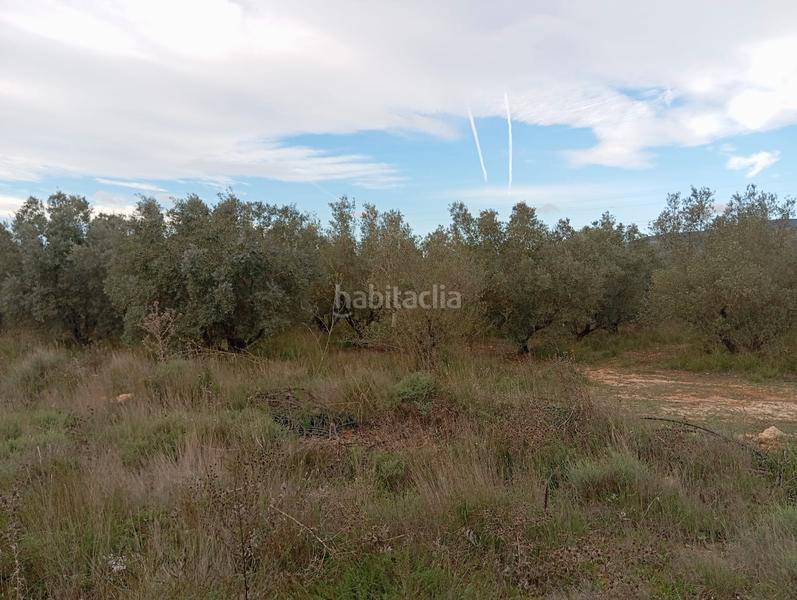 Foto b09a6829-03e0-4b2f-9361-965221f533e4. Landgut in Llombai