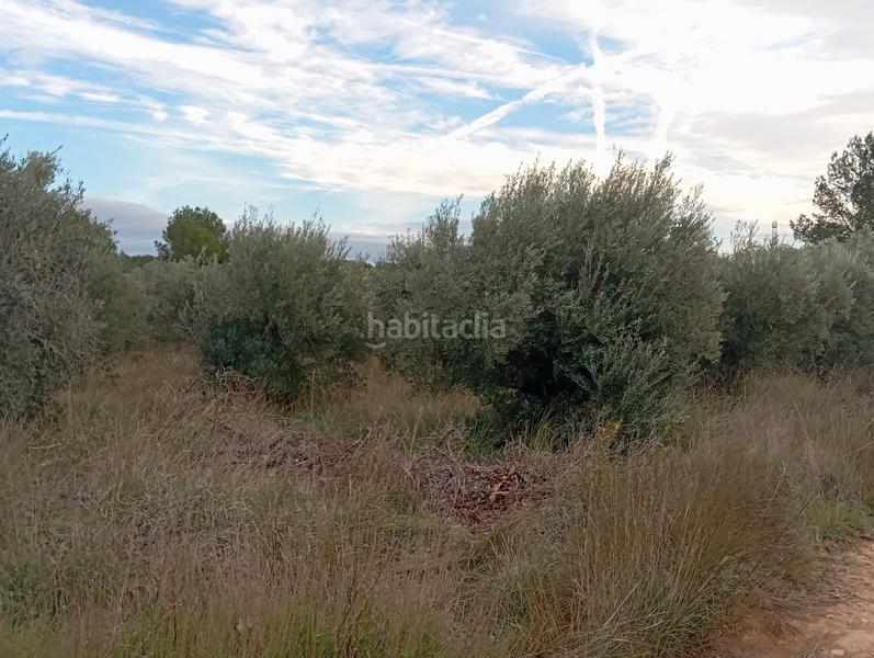 Foto dccd76e9-1216-4bf5-9155-5409b0aedcd9. Landgut in Llombai