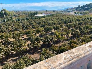 Chalet in Carlet. Chalet zona club de tenis carlet