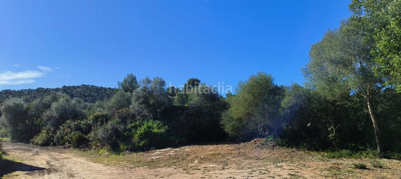 Foto 6eb51b46-4e14-4bfc-87fa-83a613660610. Finca rústica a Carlet