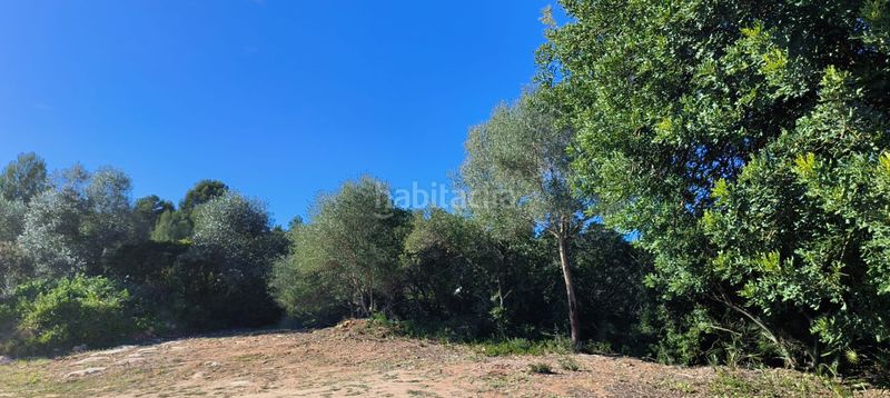 Foto b1dd31fa-0830-4ff4-b649-12c99b00d1ff. Finca rústica a Carlet