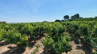 Chalet in Carlet. Chalet en carlet