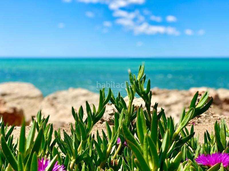 Foto 67a68f19-b288-42dd-9d2c-732389800546. Casa amb calefacció a Platja de Mont-roig Mont-roig del Camp