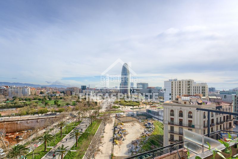 Foto c441594b-e6d7-4a37-94b8-f211726fb29c. Àtic a Fort Pienc Barcelona