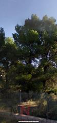 Masia a Montornés-Las Palmas-El Refugio. Benicasimfinca de recreo