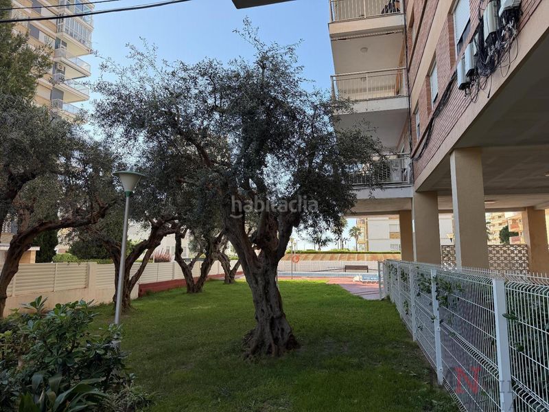 Foto 9eb43236-0d42-4000-843b-dd407a10d4fa. Apartment with parking pool in Heliópolis Benicasim / Benicàssim