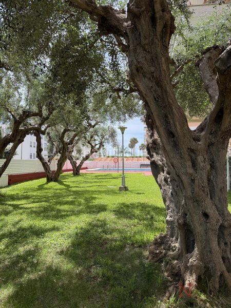 Foto a1af7a02-8160-4345-a72e-800bfb430b39. Apartment with parking pool in Heliópolis Benicasim / Benicàssim