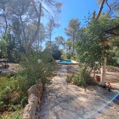 Masia  Cami diseminados var. En venta finca rstica en pina