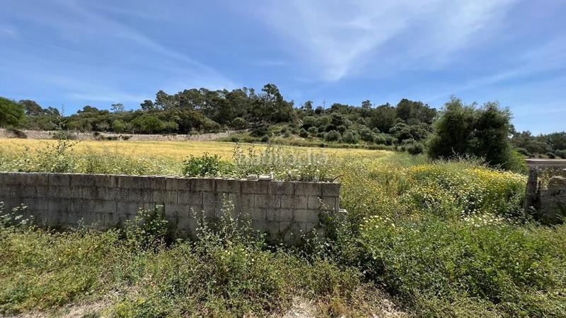 Foto 08e63018-ac0c-482b-8e04-311c6e075393. Finca rústica en venta solar en Sineu