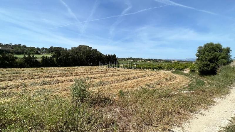 Foto 0e56d444-66a6-4fc4-af81-be5d5f19f7af. Finca rústica en venta solar en Sineu