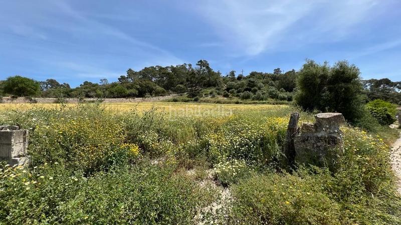 Foto 1d26f2d1-7d48-411a-b32e-0a8d52f05de6. Finca rústica en venta solar en Sineu