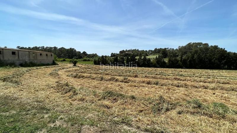 Foto 211d6c88-bbc4-4cfd-a0ab-2b8e35bacd9c. Finca rústica en venta solar en Sineu