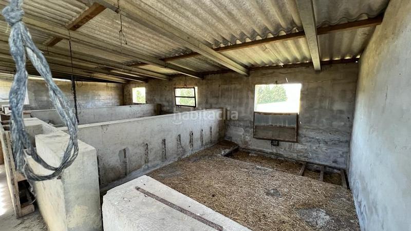 Foto 32d86daf-d44f-4204-a91c-b4c7371bd1c6. Finca rústica en venta solar en Sineu