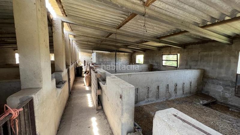 Foto 3c263a9f-2b36-4529-b9c6-d8931711da1d. Finca rústica en venta solar en Sineu