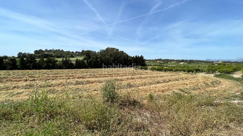 Foto 42dc2d9f-b6a1-4ed2-bf47-b7c631a5c947. Finca rústica en venta solar en Sineu