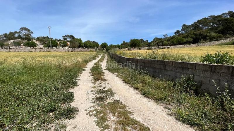 Foto 6b1bc328-8aef-4e3c-aefa-3e40ecfa679f. Finca rústica en venta solar en Sineu